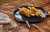 Screenshot - 2022-10-20T135317.657.png
