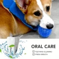 9a993d2706114afe8c2fafb103a39f34-goods.webp